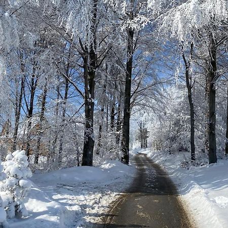 Domek Goscinny Dyziowka Szczyrk Bagian luar foto